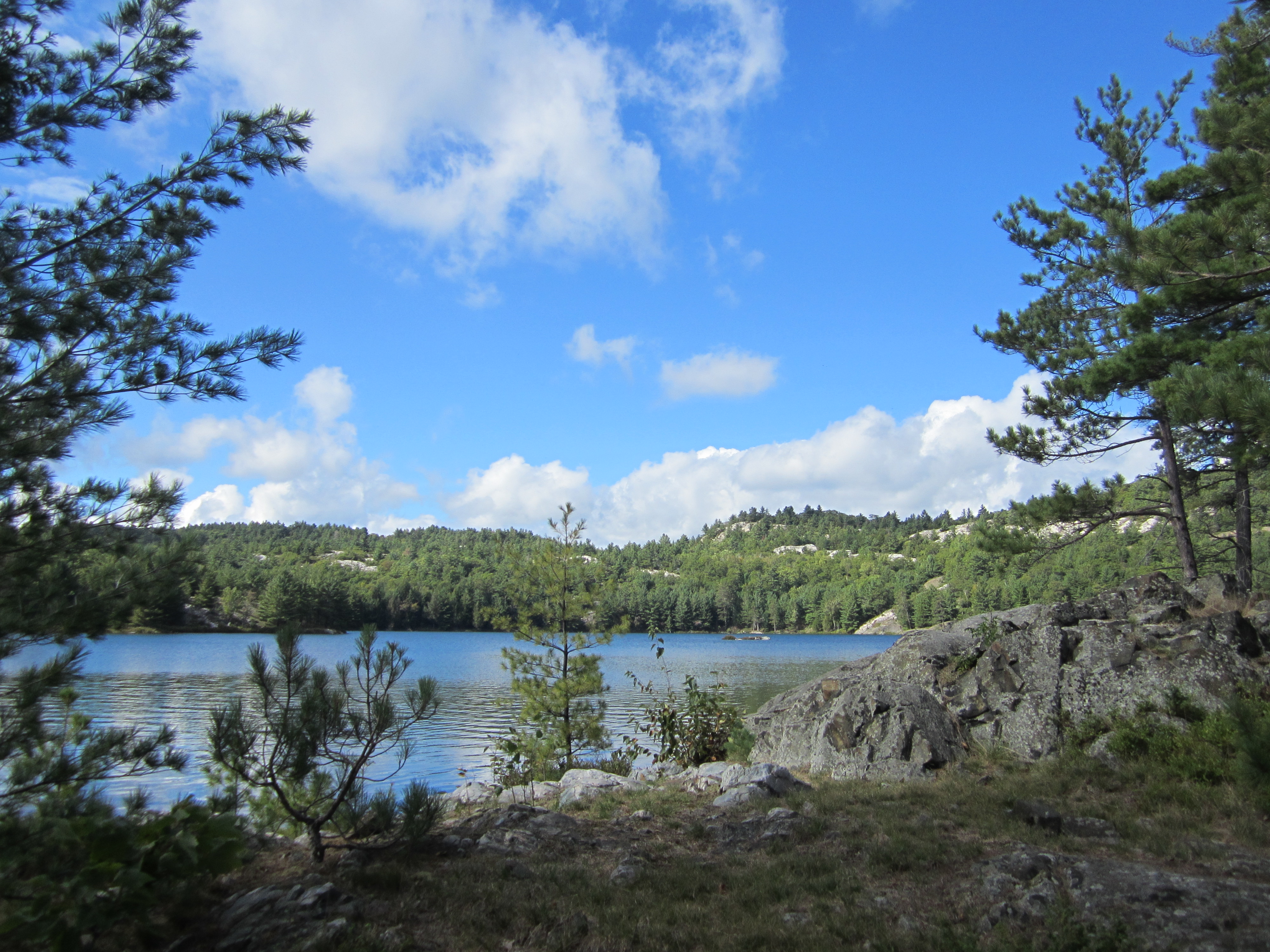 IMG_0111.JPG