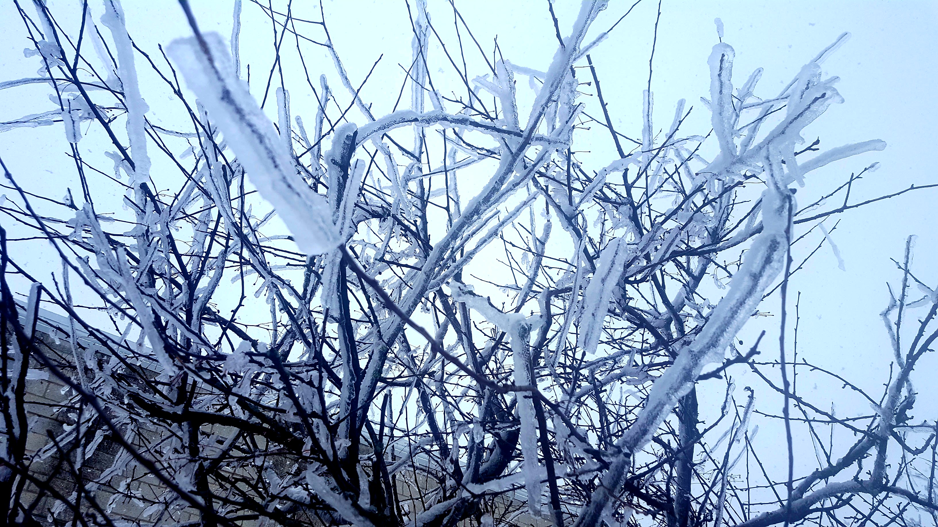 20180416_201649