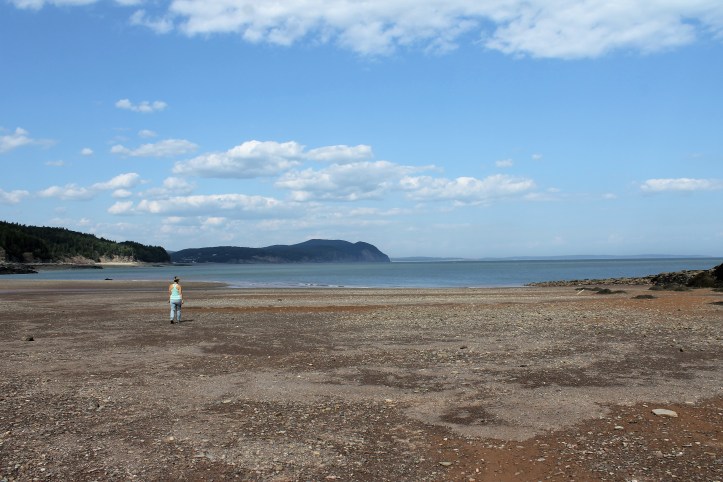 30 fundy herring cove