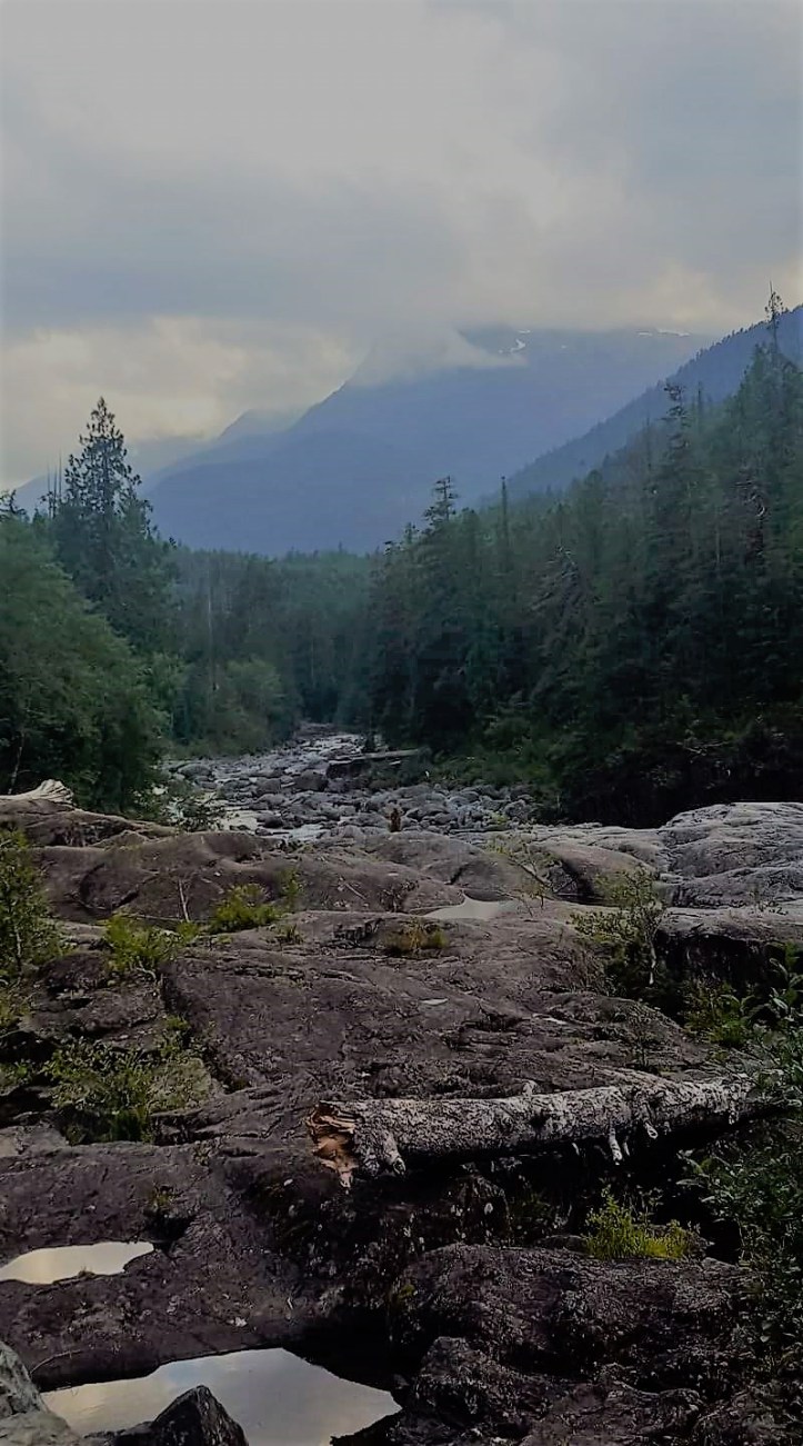 fb_img_1513235719941