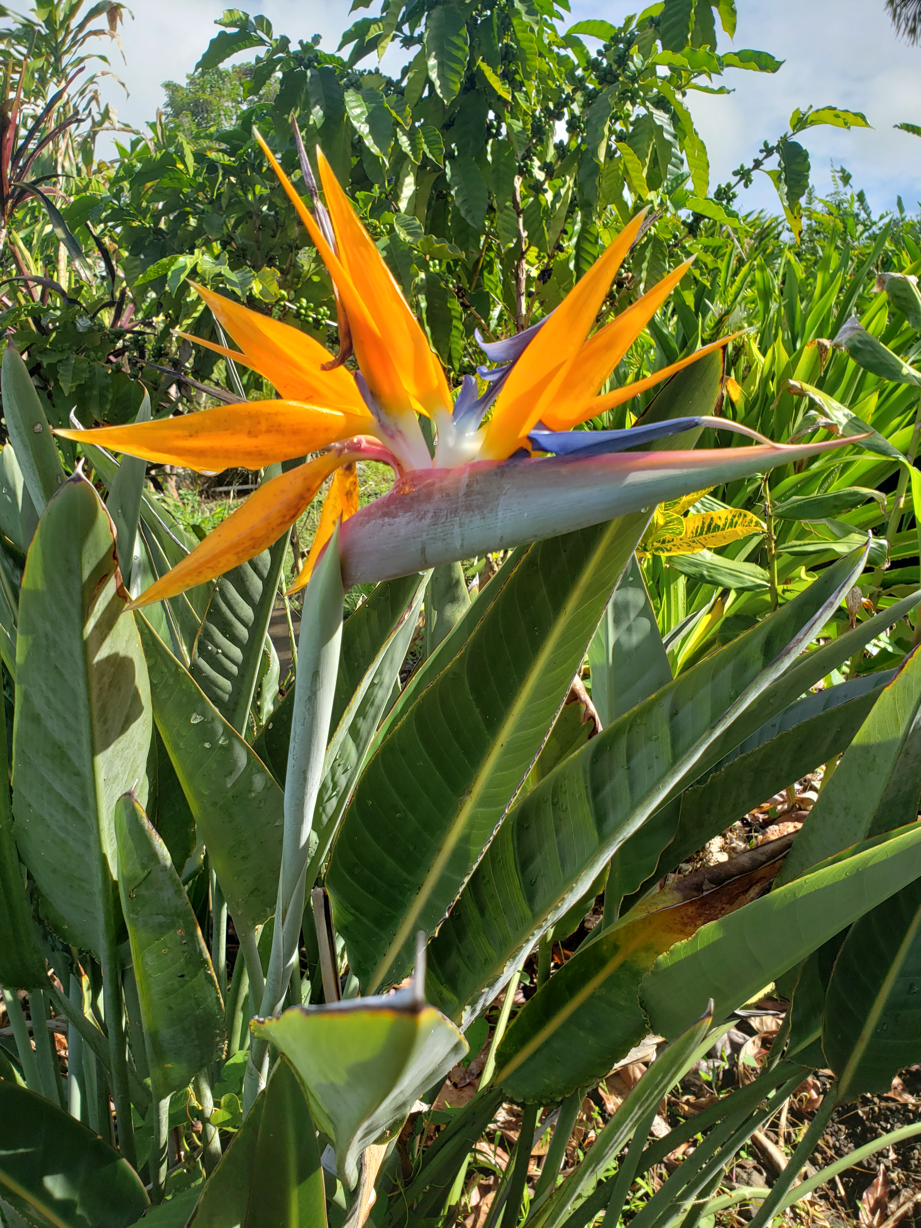 20190427_085314
