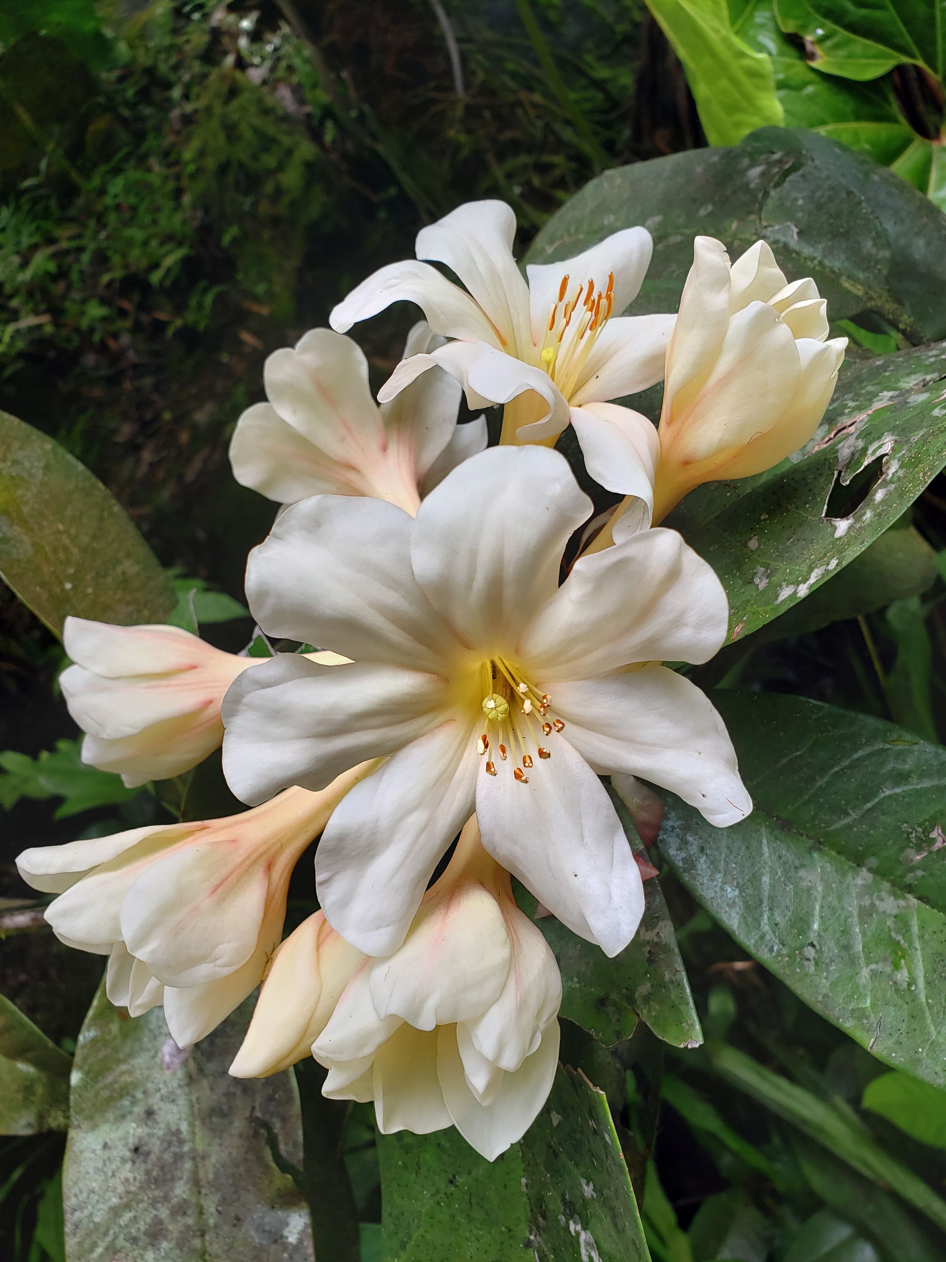 20190502_112354
