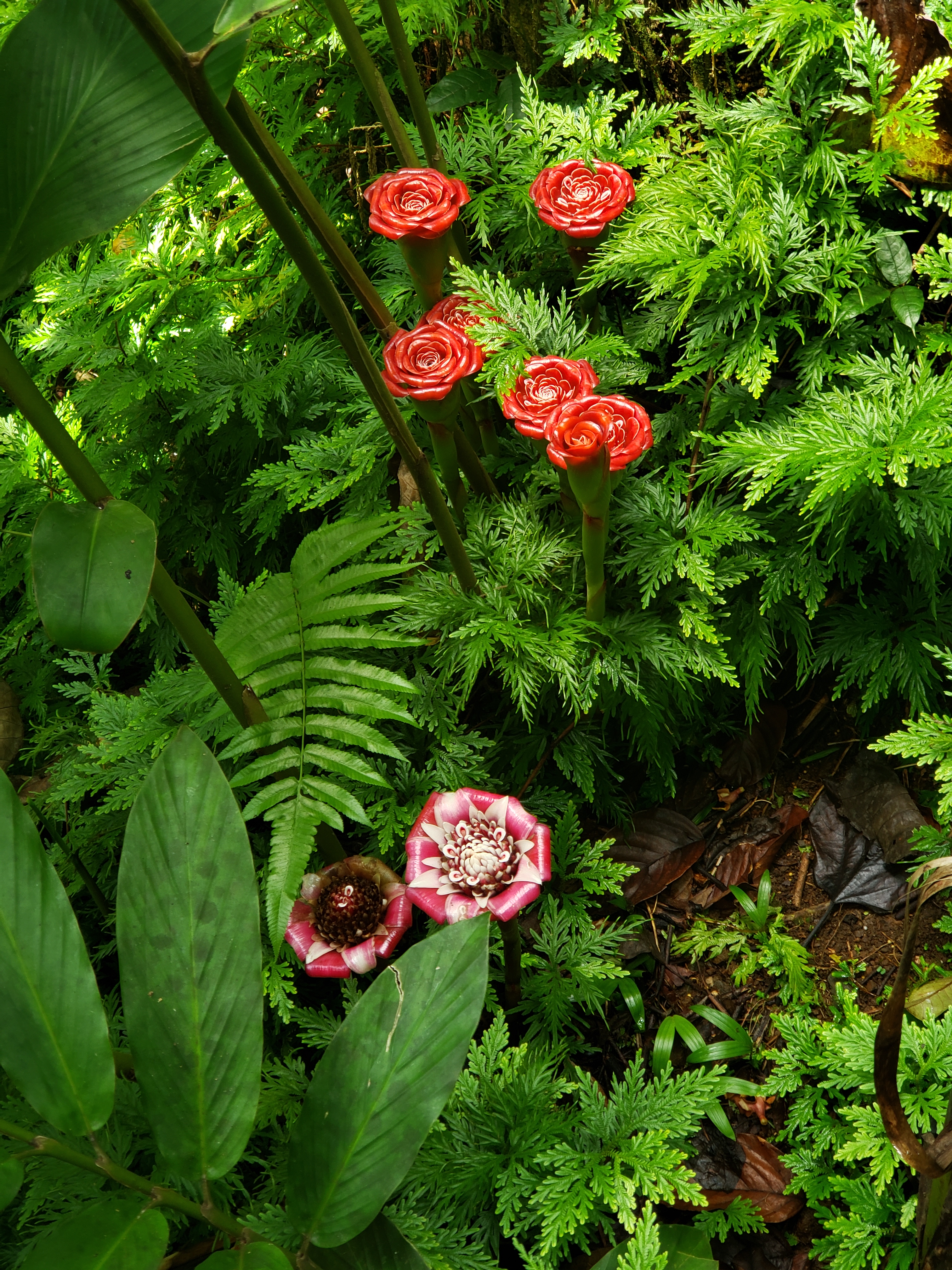 20190502_112942