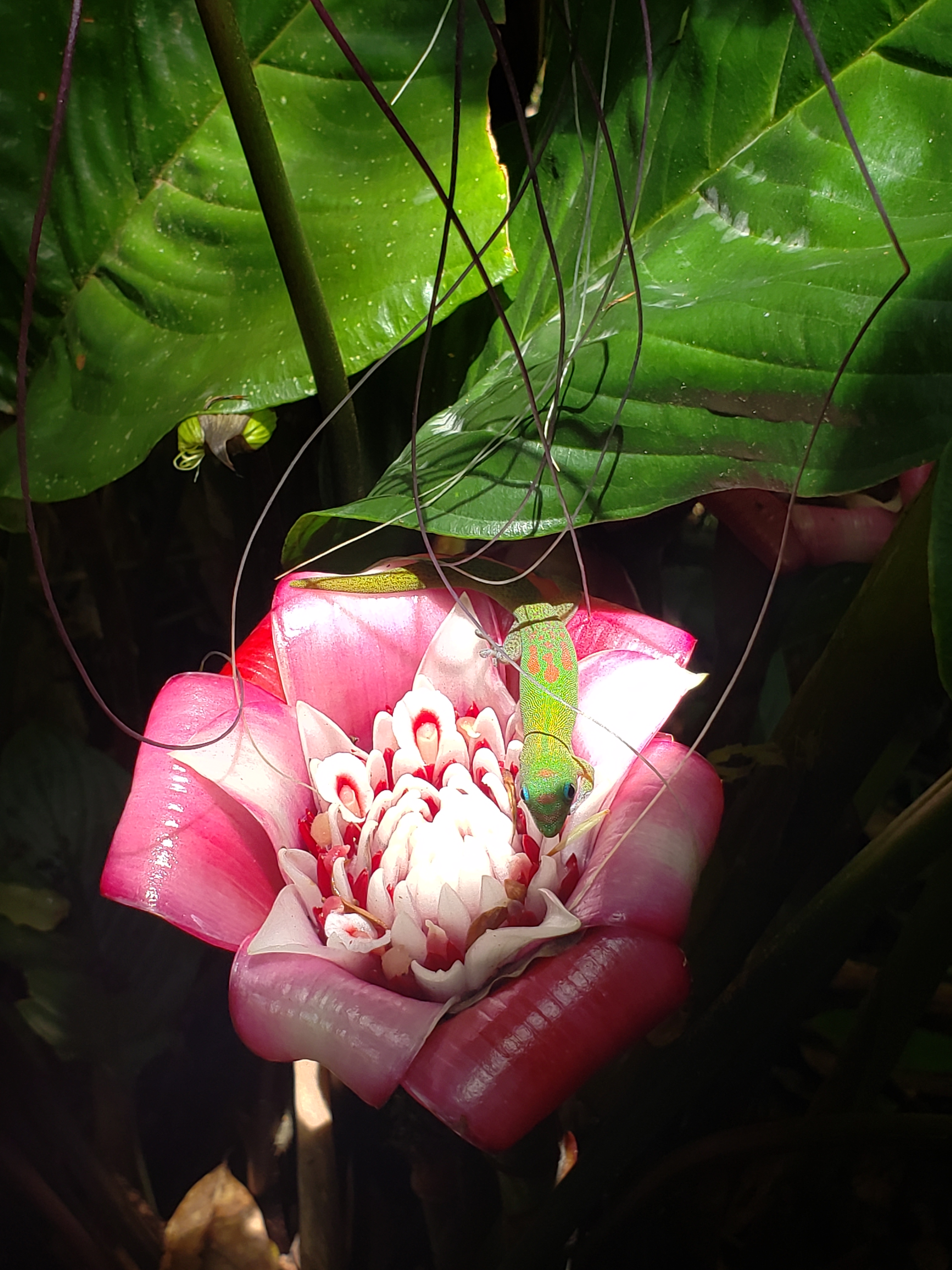 20190502_114042