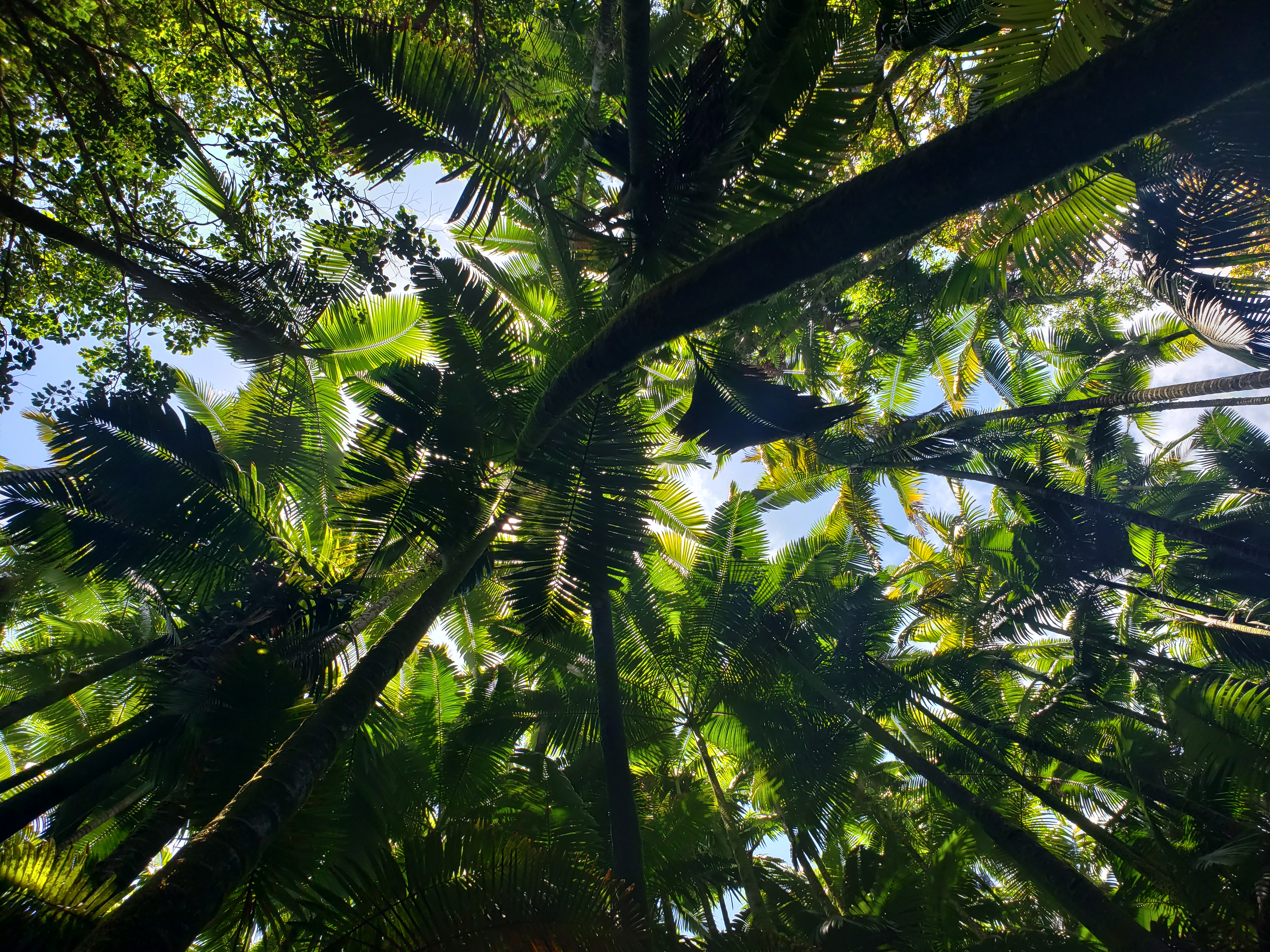20190502_114518