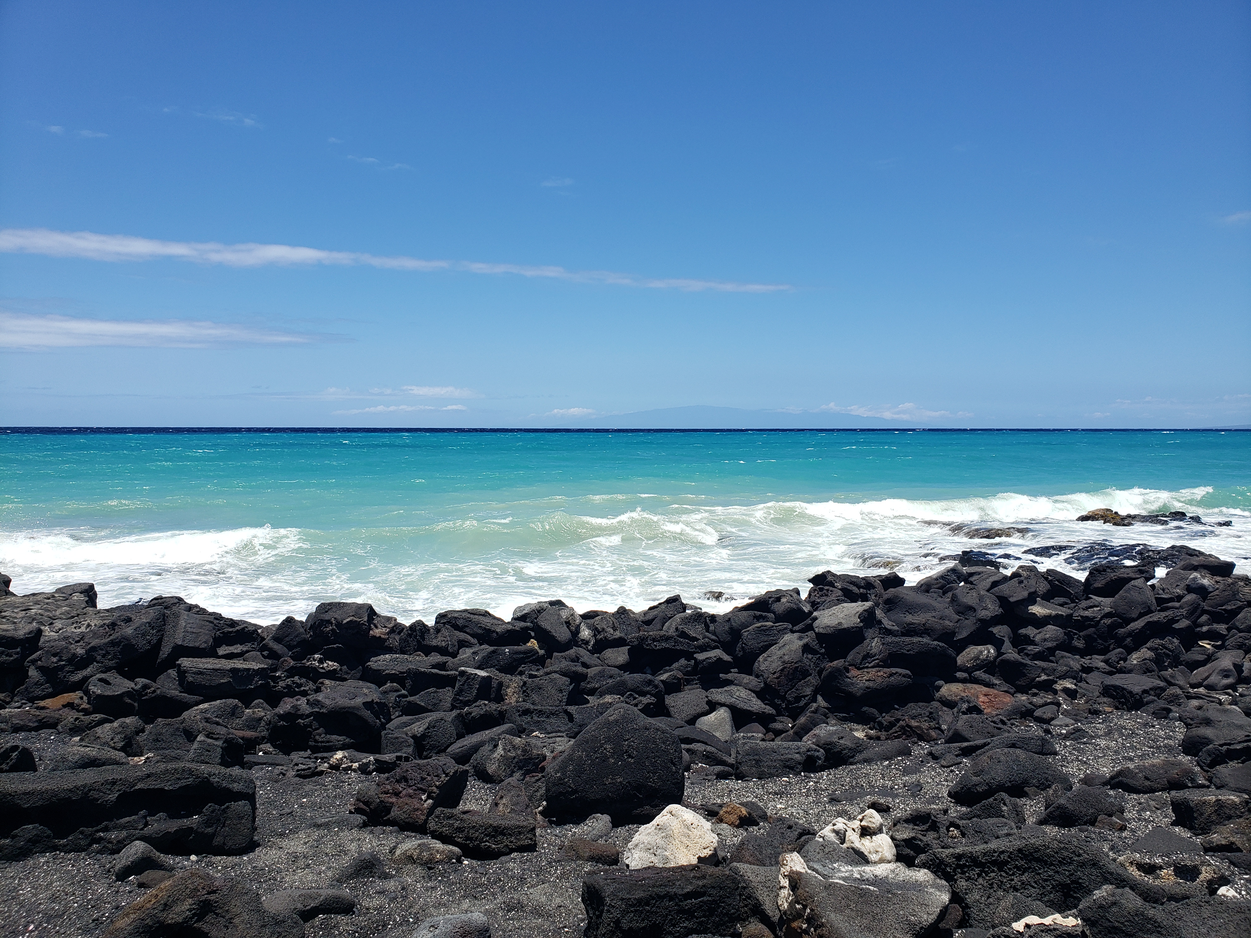 20190505_122918.jpg