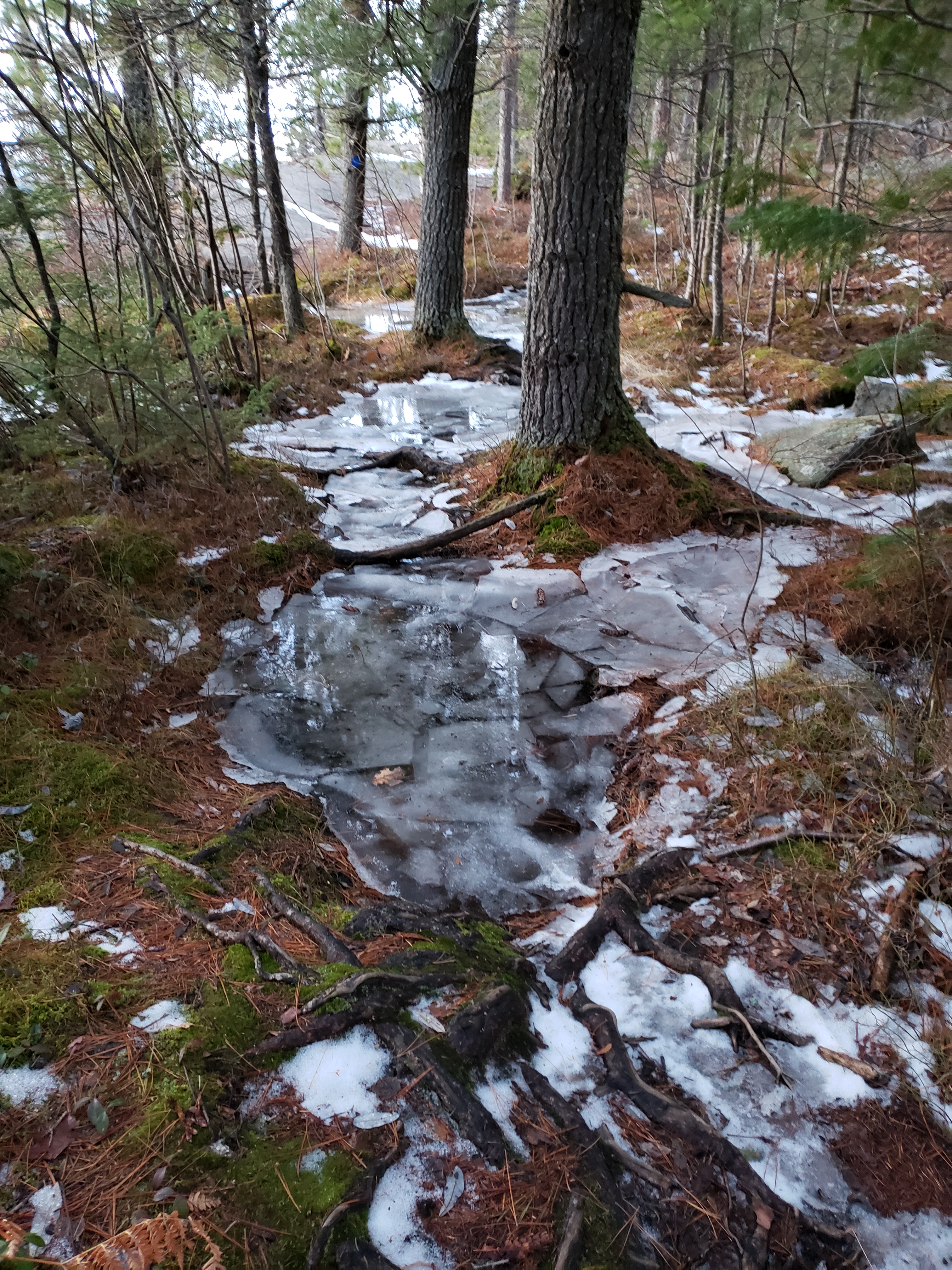 20191126_163735