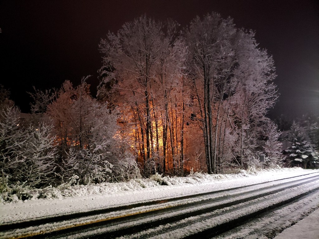 A night scene showing a snow covered road and tall deciduous trees covered in snow with an orange glowing light source behind them