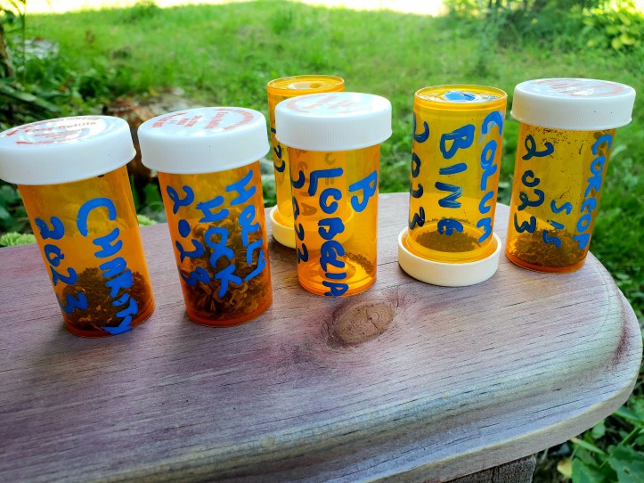 A collection of prescription medication bottles repurposed to hold native seeds